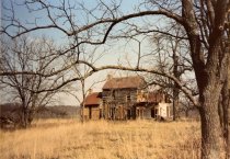 Ruins of Carysbrooke, spring 1989